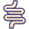Enteric Canal.png